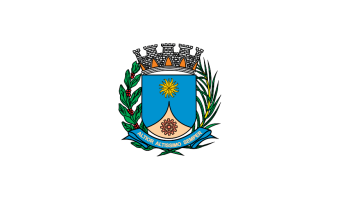 Câmara de Araraquara - SP