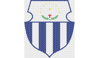 Câmara de Salgueiro - PE