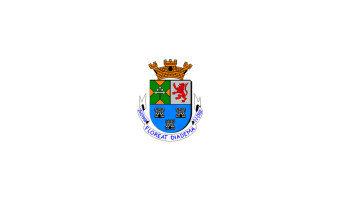 Câmara de Diadema - SP