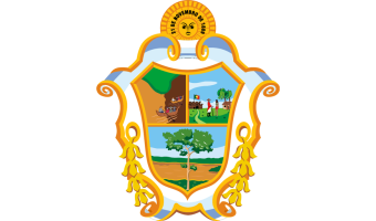 Câmara de Manaus - AM