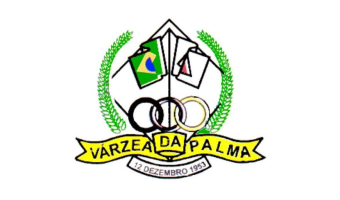 Prefeitura de Várzea da Palma - MG