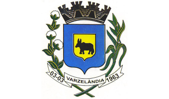 Prefeitura de Varzelândia - MG